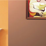 HE3000真美丽三合一防霉内墙乳胶漆